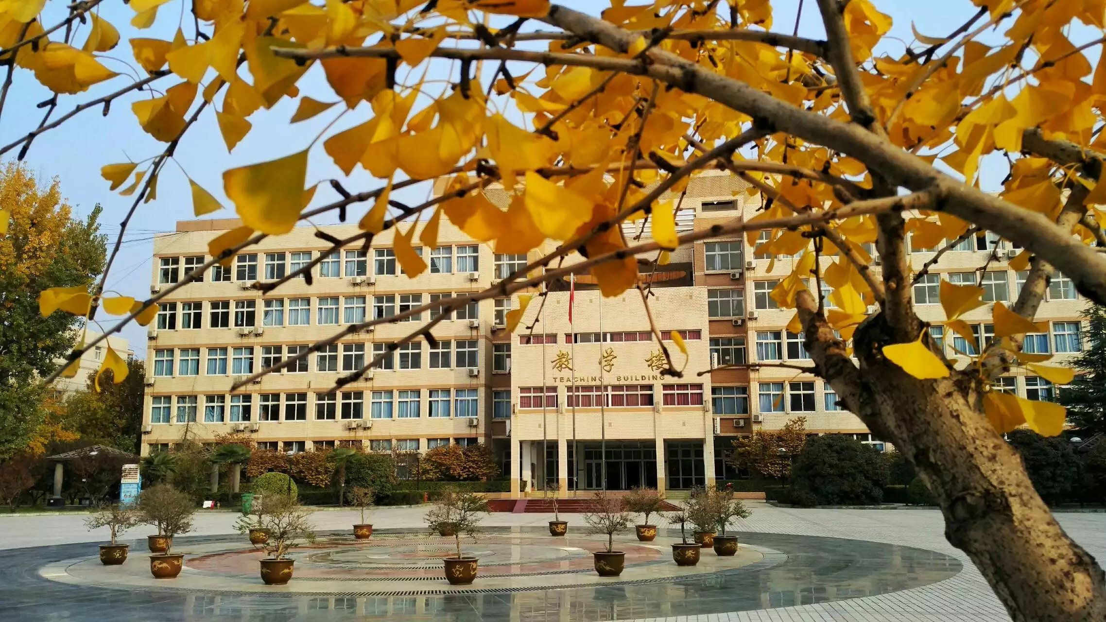 {Online Casino}(河南省旅游职业学院怎么样)