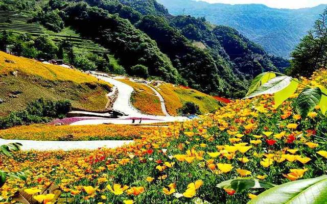 {線上賭場}(三天去那里旅游比较好)