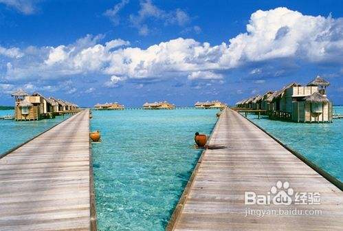 {老虎機}(住宿旅游餐饮业经营者不得主动向消费者提供一次性用品)